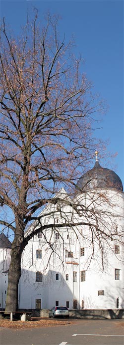 Blick auf Schloss Wurzen