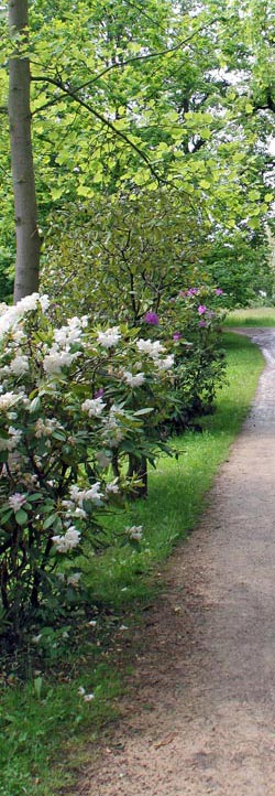 Blütenzauber im Schlosspark Machern