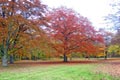 Stadtpark im Herbst