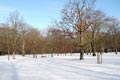 Winterlicher Stadtpark