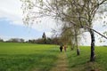 Wandern