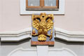Goldener Adler